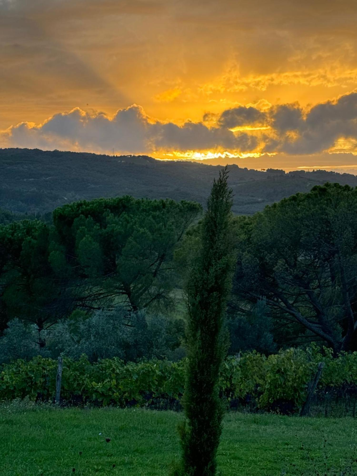 Corte Di Valle * Greve in Chianti