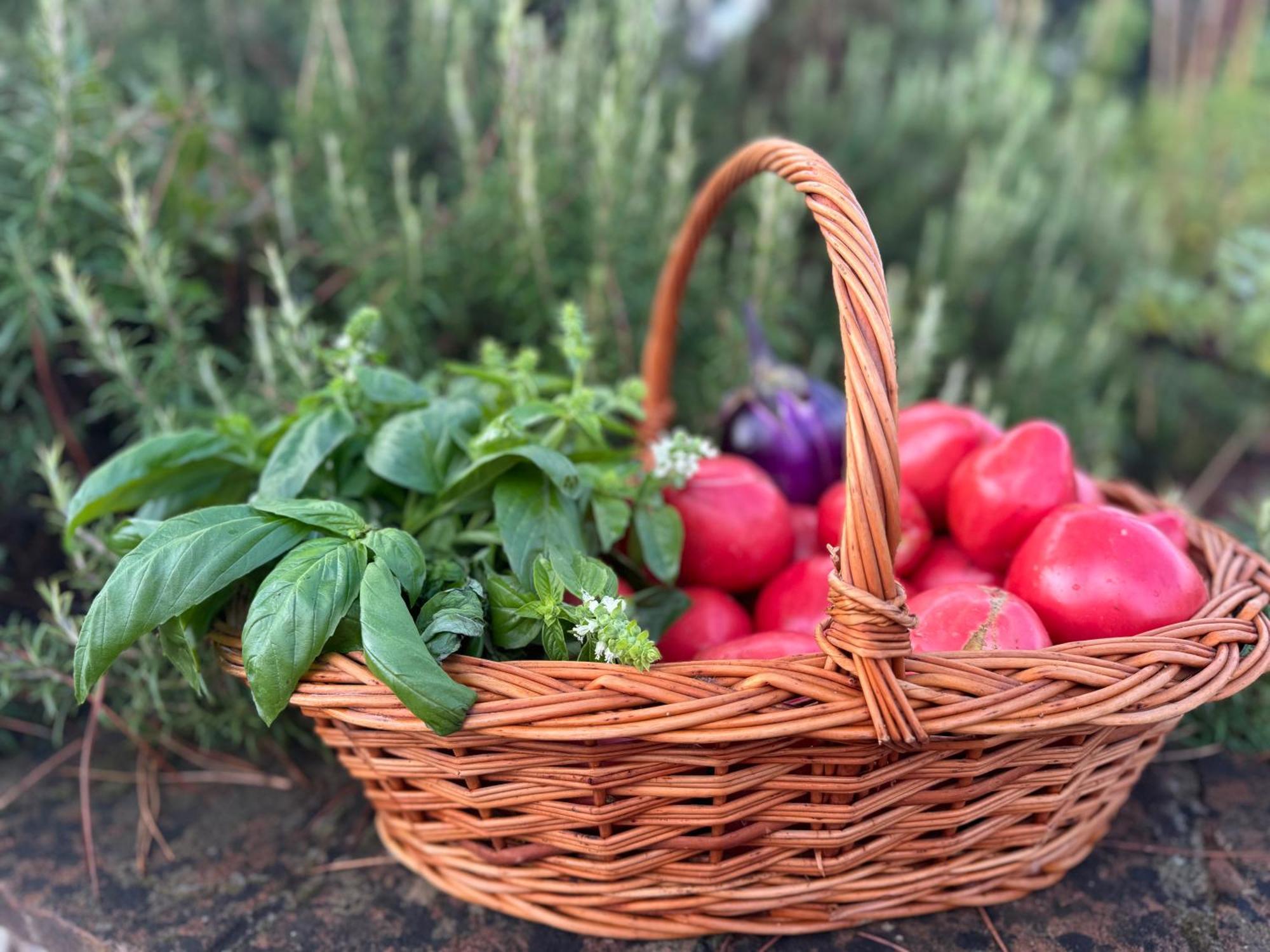 Farm stay Corte Di Valle
