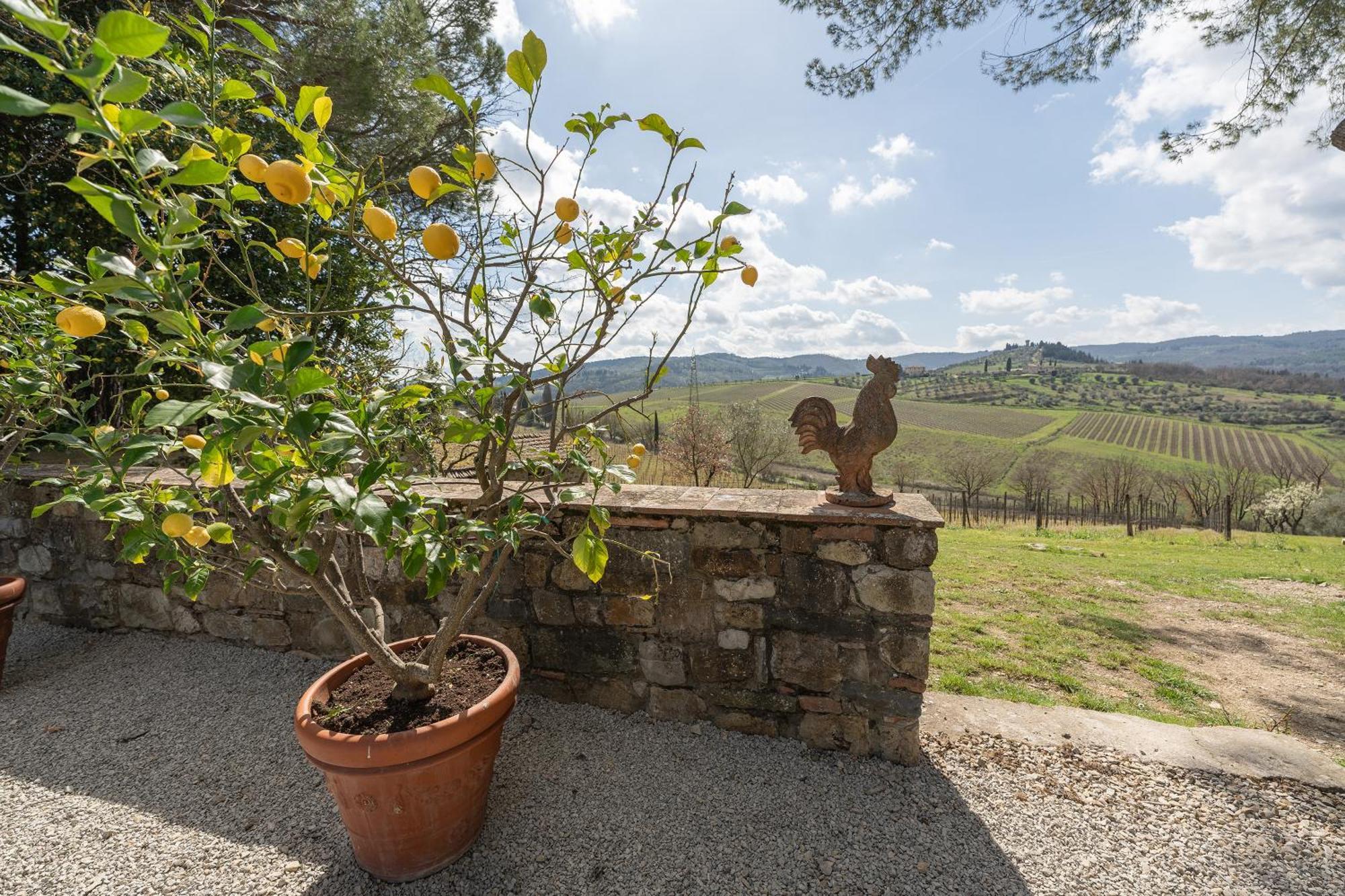 Corte Di Valle * Greve in Chianti